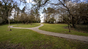 300 year old orchard situated at Blakestown House 2